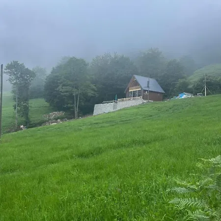 Zambula Bungalov Trabzon